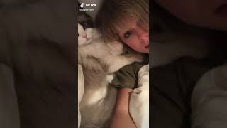 Video thumbnail of "Taylor Swift New TikTok “Look At My Cat” #shorts #swifttok"