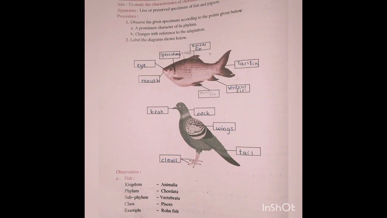 Std 10 Science 2 Journal SSC all answers