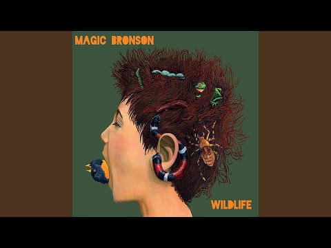 Fences - Magic Bronson