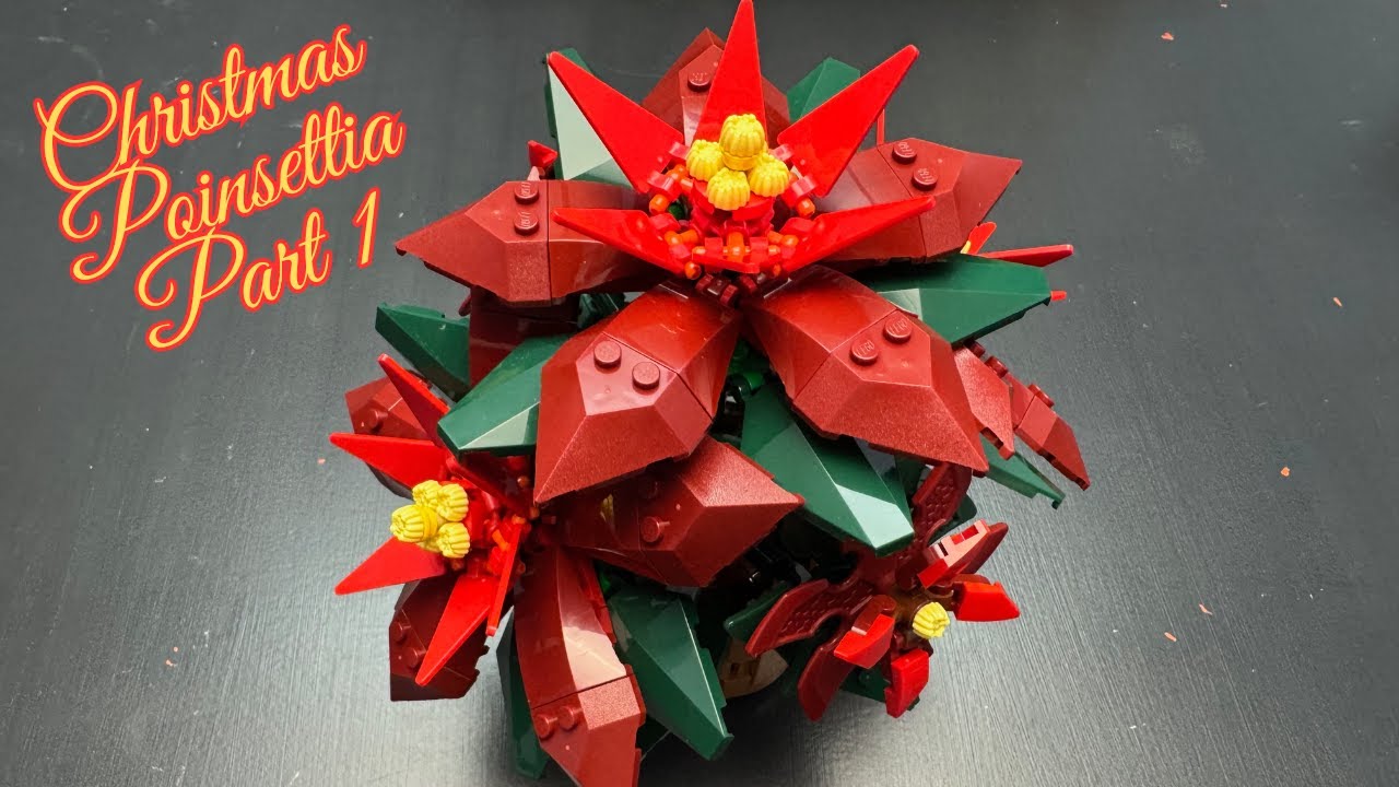 Poinsettia Build: Pot