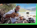 Solo Beach Camping - Catch and Cook - Trophy Fish EP.500