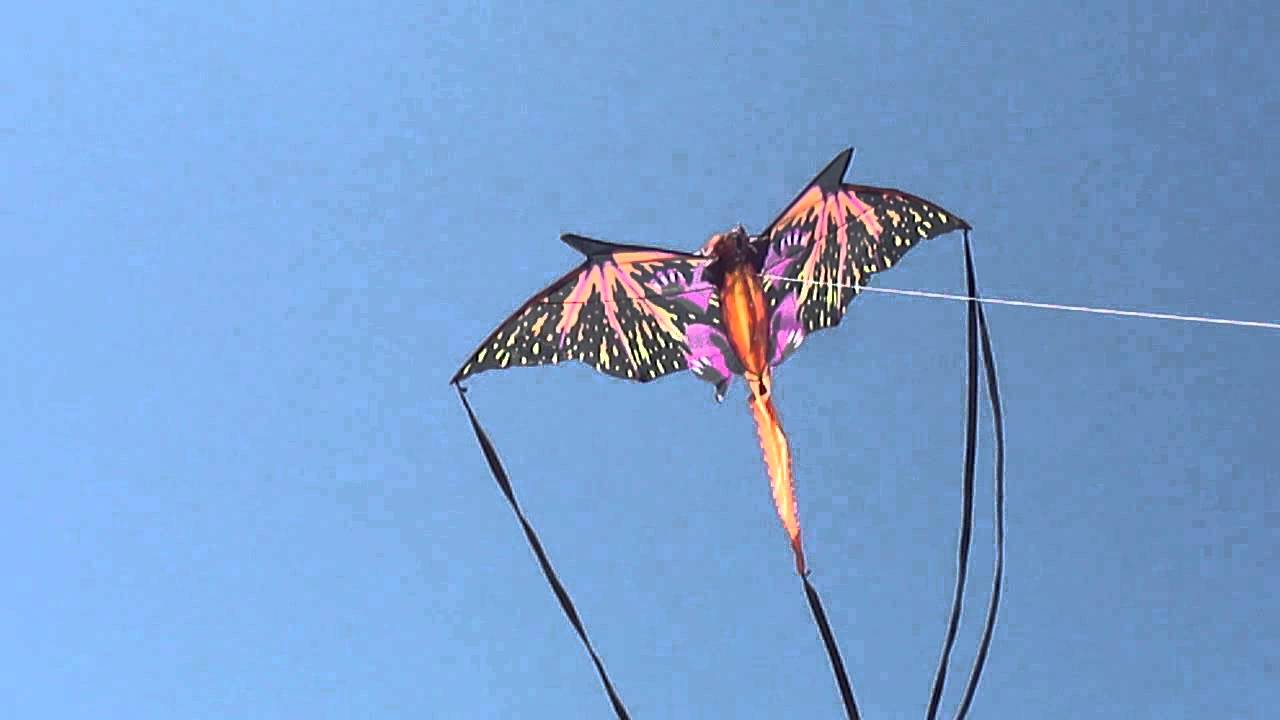 Dragon Kite 64 in. 