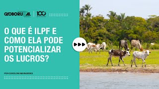 Você Sabe O Que É Ilpf? Sistema Eleva Ganhos De Produtores Rurais Globo Rural