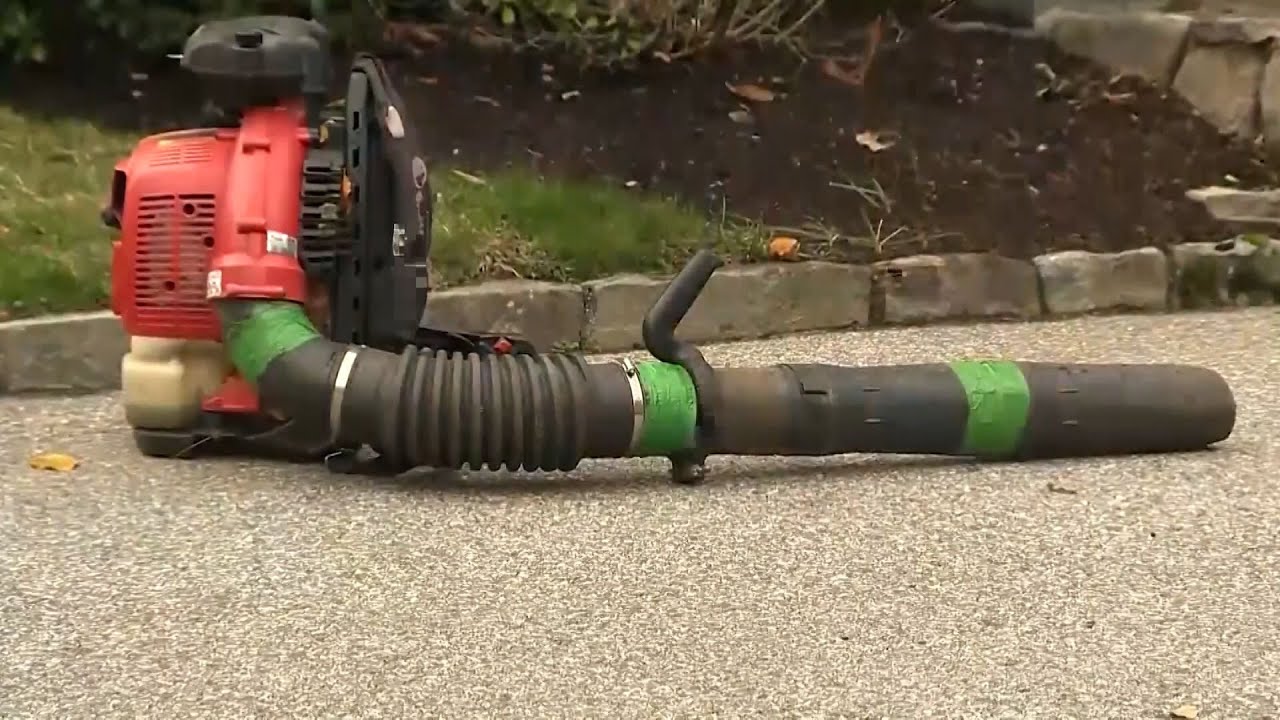 Massachusetts town of Lexington votes to ban gas-powered leaf blowers