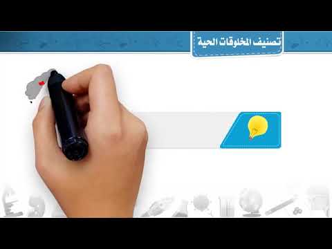 تصنيف المخلوقات الحية ممالك المخلوقات الحية الصف الرابع الابتدائي