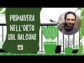 Orto sul balcone in primavera: quali lavori fare e cosa seminare