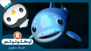 أوكتونوتس | 🪨 السمكة شوكية الجوف 🐟 | السلسلة 4 | الحلقة 21