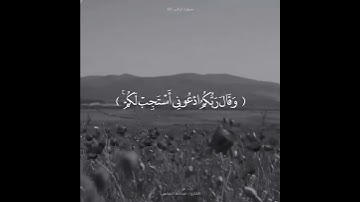 القارئ عبدالله الموسى {وَقَالَ رَبُّكُمُ ادْعُونِي أَسْتَجِبْ لَكُمْ ۚ …}