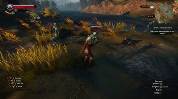 THE WITCHER 3 | THE NILFGAARDIAN CONNECTION | ULTRA 1080p