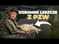 OGROMNE LESZCZE Z PZW NA Method Feeder | Zbiornik "Buków 1"