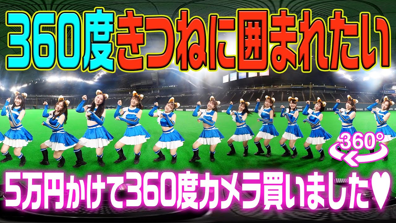 360度きつね 一度 きつねダンスに囲まれてみます きつねキャンプファイア Youtube