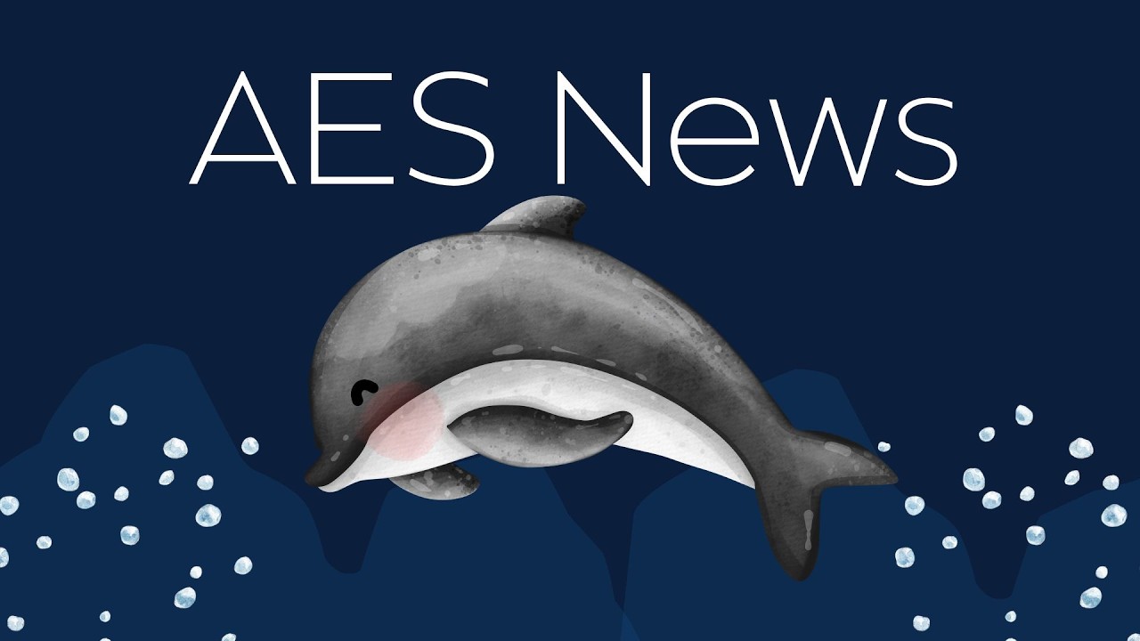 AES News 3/4/26