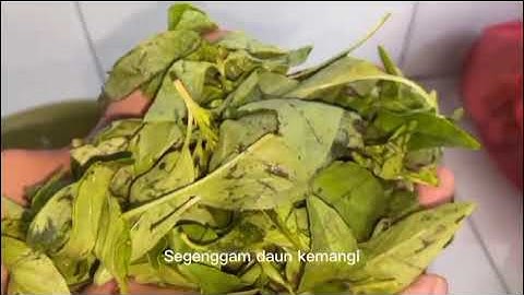 Tugas :project assignment 2 intensive writing procedur text. Kelompok 5