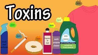 Toxins - Toxins In The Body - Toxins In Food