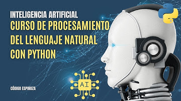 Curso de Procesamiento del Lenguaje Natural (NLP) | E01