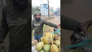 Andhrapradesh Tinder Coconut Water