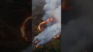 Incendios forestales sin precedentes en Bustasur, Cantabria, España  #melkeb