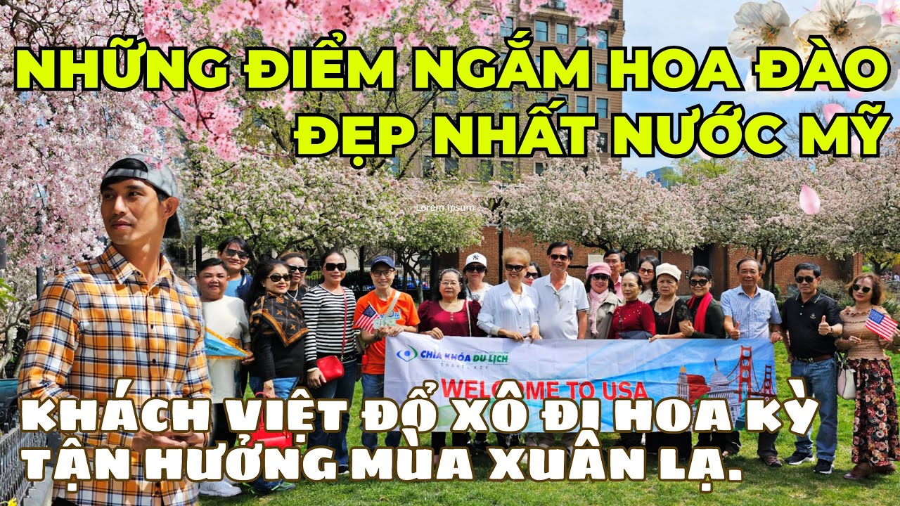 Đời sống nâng cấp - Nhiều đoàn khách Việt chi trăm triệu đến Mỹ ngắm hoa đào