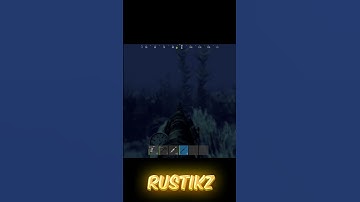 бзден нашел фармилу в Rust #rust #раст #кгые #chistobzden #rustikz