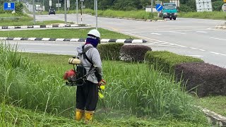 Woe’’ Potong Rumput Tepi Jalan Sangat Panjang