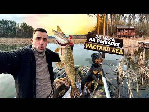 Видео: 24-Часа! На рыбалке. В лесном домике. Растаял лед.