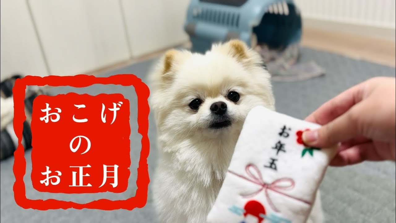 おこげのお正月【2026.01.】