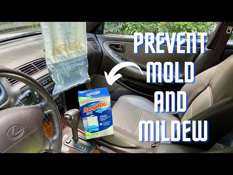 Car Carpet Cleaner Mildew