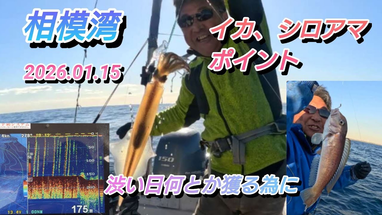 プレジャーボート、ヤリ、スルメ、白アマダイポイント。つかの間の冬場れ凪の日にいろいろポイント廻りましたが、中深場アカムツは不調でしたが、狙いのは捕れました。釣れたポイントは常にお知らせしております。