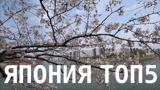 картинка: Япония ♥️ Весна-Осень