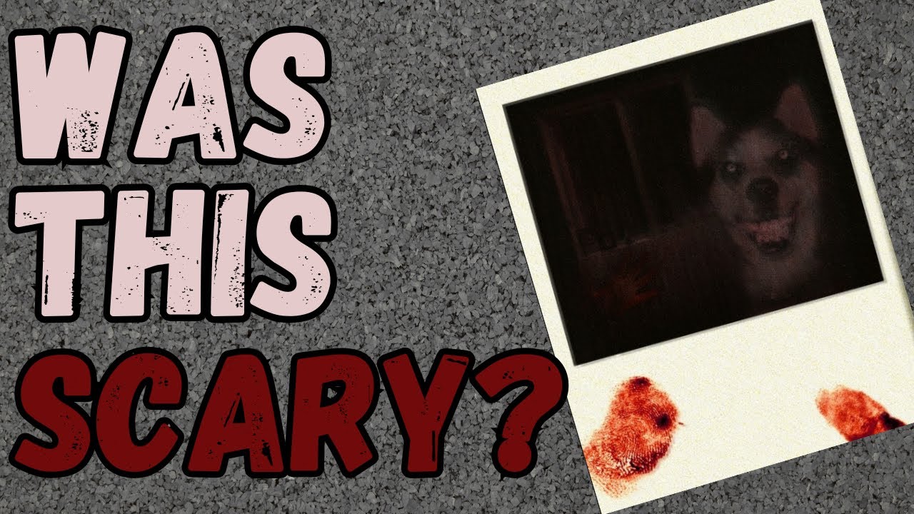 Does Smile.Dog Hold Up Today?, image size:1280x720