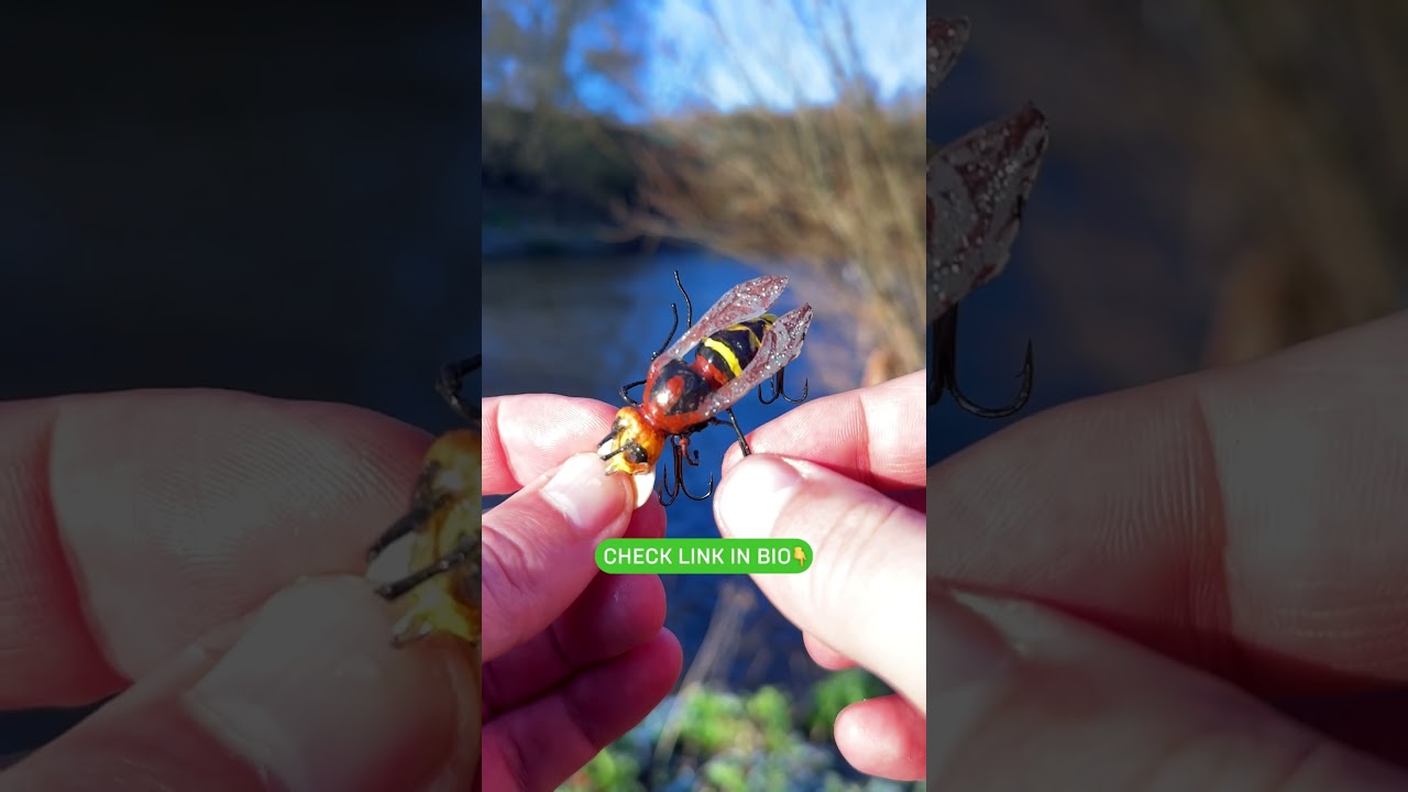 PERFECT Topwater Lure for Asp