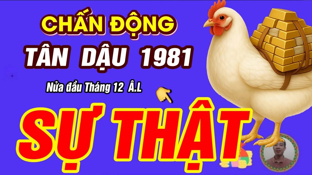 Sự Thật tử vi Nửa đầu Tháng 12 âm lịch 2025 Tuổi Tân Dậu 1981 BÃO LỘC TRÀN VỀ GIÀU HƠN TRÚNG SỐ