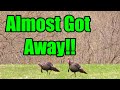 MEGA Minnesota GOBBLER Almost Slips Away! | HUGE SPURS!