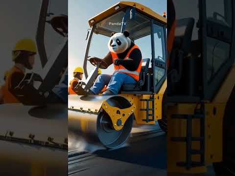 asphalt road repairs underway #trending #shorts #pandatv