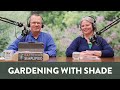 Shade is hard solutions for shady gardens and landscapes  86