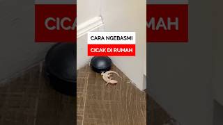 Cara AMPUH ngebasmi #CICAK di rumah✅ #racunshopee