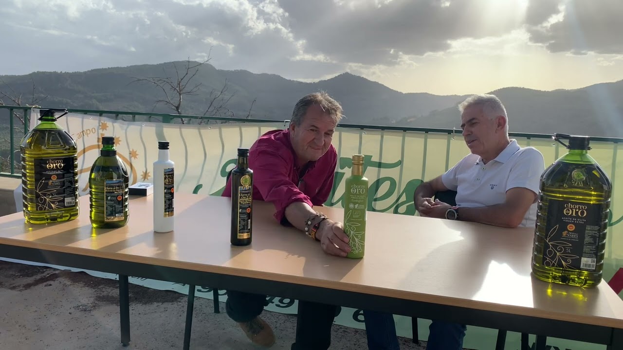 Aceite de oliva Virgen 100% ecológico.cooperativa  Virgen del campo-torres de albanchez