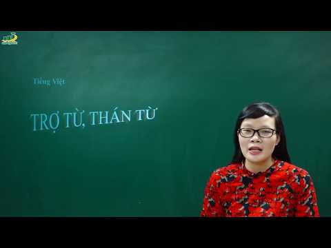 Video Ngữ Văn Lớp 8 - Bài giảng Trợ từ, thán từTiếng Việt |... - youtube