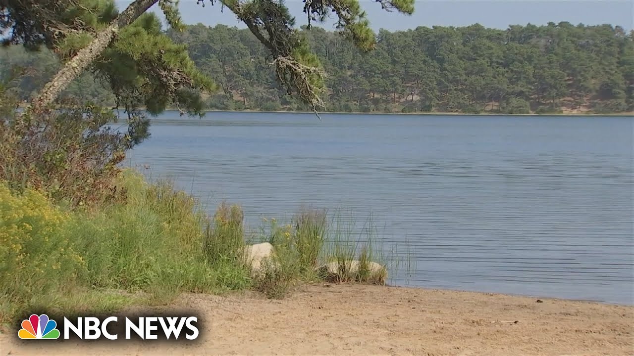 Teen charged in ‘racially motivated’ Cape Cod drowning attempt