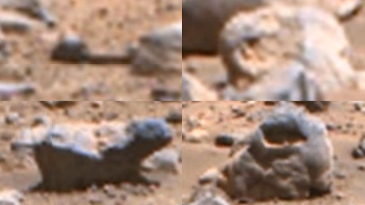 Strange Structures on Mars Perseverance 776 - YouTube