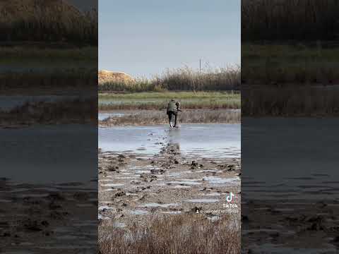 صيد البط في سيناء الحاج سليم العقاري