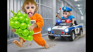 Baby Monkey Bon Bon Receives Mysterious Gift Box and Rescue a Lost Little Duck