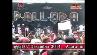 Devi Aldiva   edan turun NEW PALAPA SNP