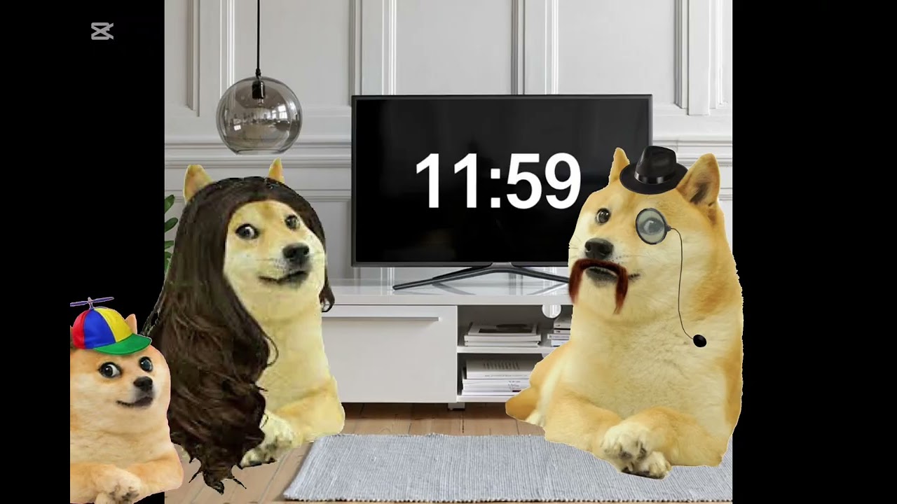 The Doge Kid - S1 Ep1 (Doge’s New Years Day!”