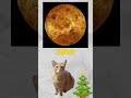 mercurio 😺 (el domingo nuevo video de historias) #astronomia #mercurio #gatos #espacio