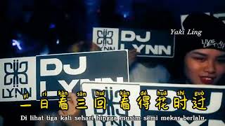 DJ版 - 兰花草 - Lan Hua Cao - Bunga Anggrek - Remix #dj抖音版