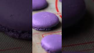 Easier Than You Think French Macarons Recipe For Beginners