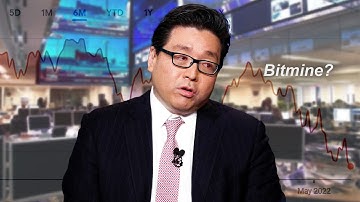 The "confusing story" of BitMine and Tom Lee...
