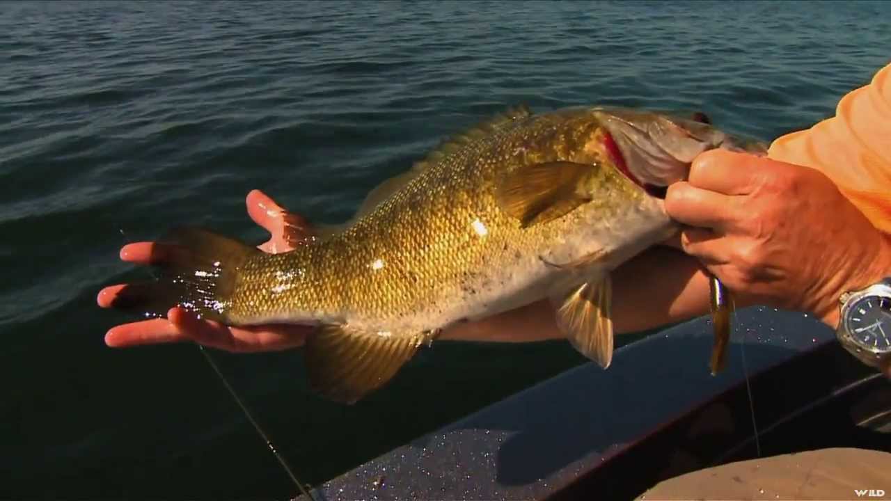 Fishing for Smallmouth Bass in Ontario