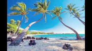 [FREE] Vacation x Island x Chill TikTok Type Beat  "Soft As A Cloud" screenshot 5